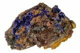 Azurite Crystal Cluster - Morocco #160313-1